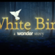 White Bird: A Wonder Story (2023) » Download Full Movie 1080p Leaked by YoMovies